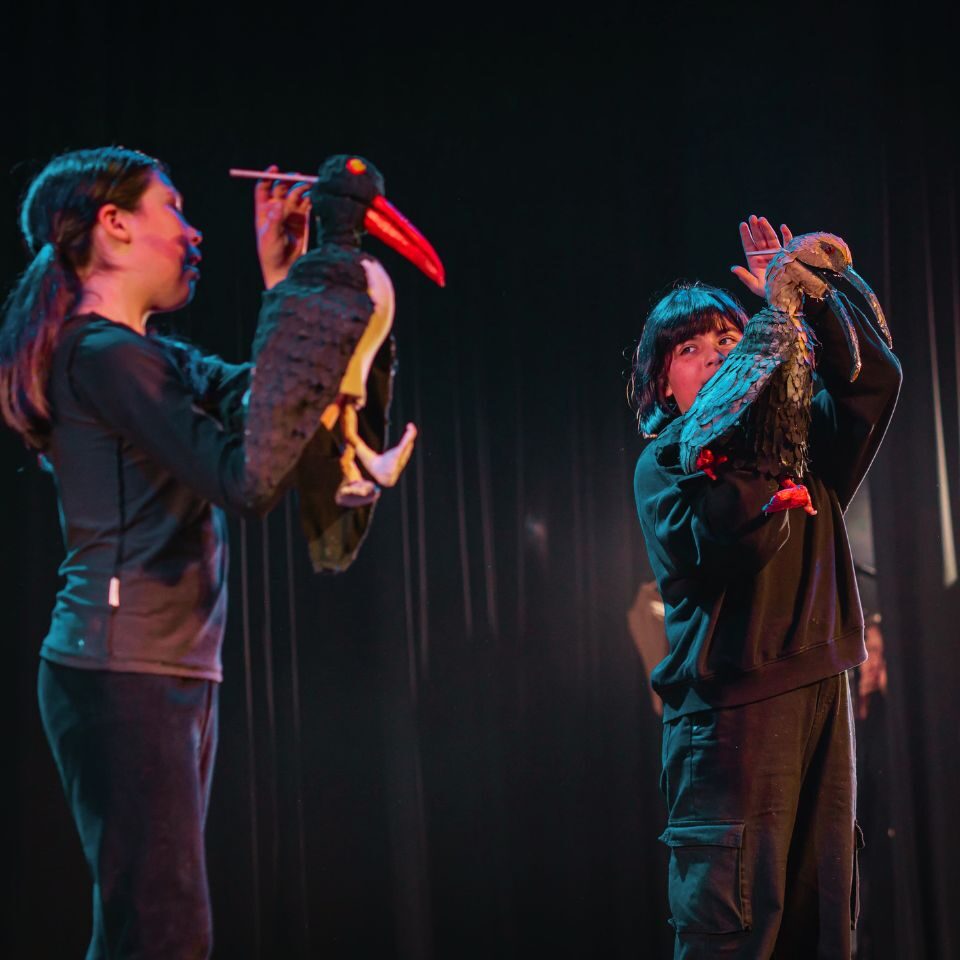 Testimonios de Ciclo Olivo