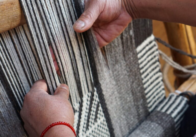 Fundación Chol Chol