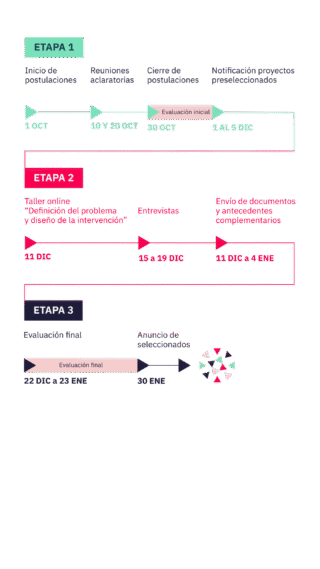 Etapas de Semillero 2026