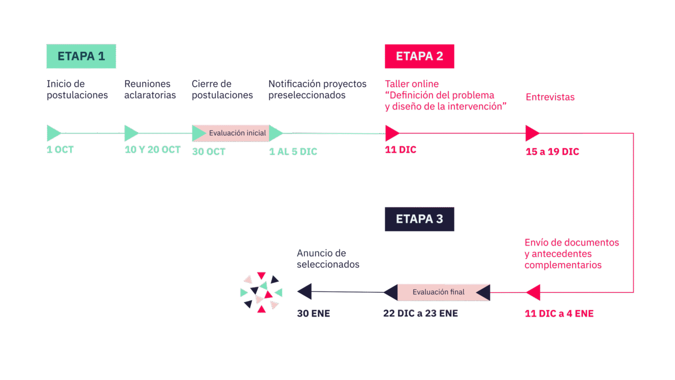Etapas de Semillero 2026